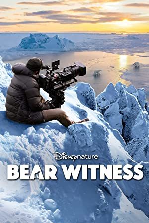 Bear Witness online sa prevodom