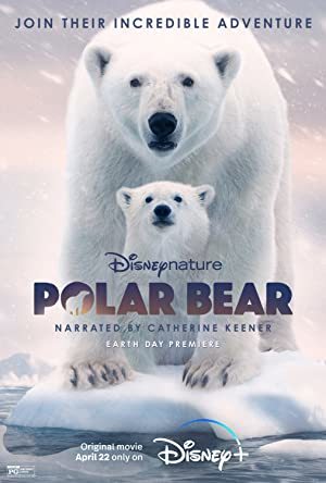 Polar Bear online sa prevodom