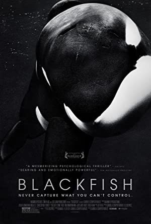 Blackfish online sa prevodom